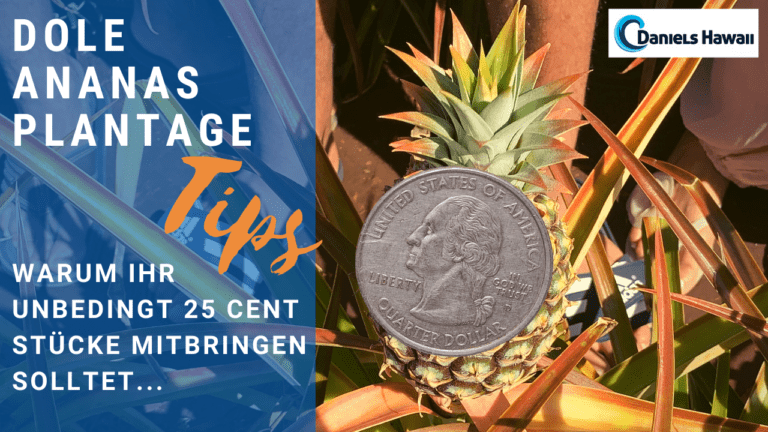 Dole Plantage Tipps