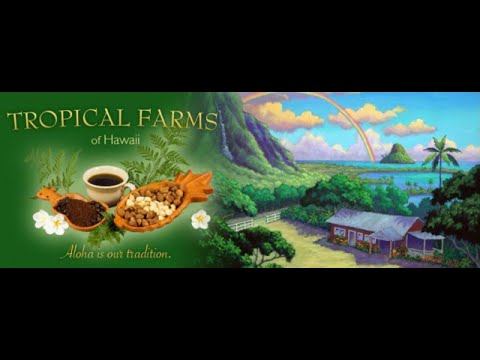 kostenloser Kaffee und Makademia Nuesse auf Oahu in Hawaii