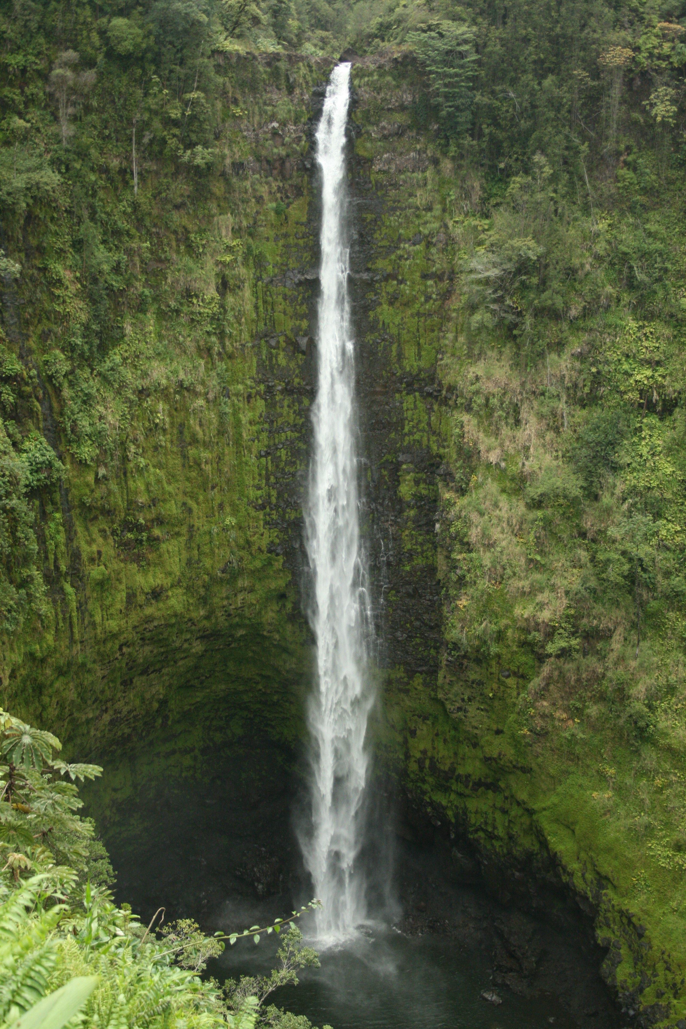 Akaka Wasserfall Hawaii