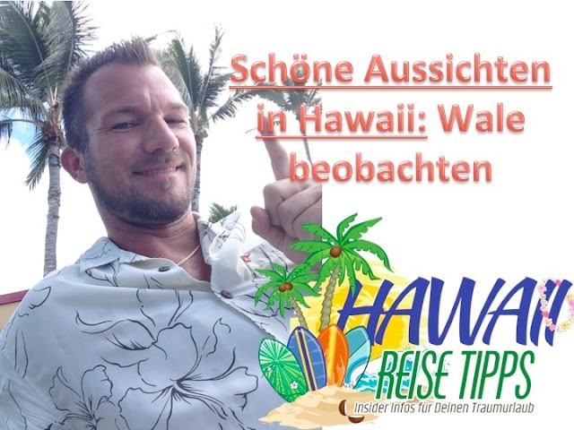 Wale beobachten auf Oahu – Makapuu Aussichtsplattform