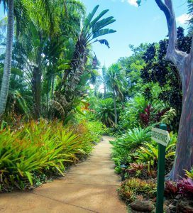 Kauai, botanischer Garten