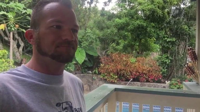 Sprachkenntnisse in Hawaii – reicht Schulenglisch? Frage zum Auswandern in die USA