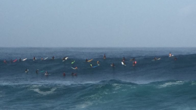 Riesenwellen an Waimea Bay