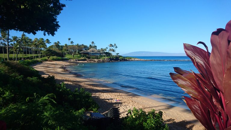 Kapalua Bay- Ruhiger Stand und Geheimtipp für alle Schnorchelfans