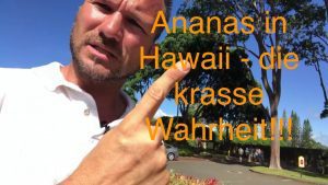 Dole Ananas Plantage hawaii