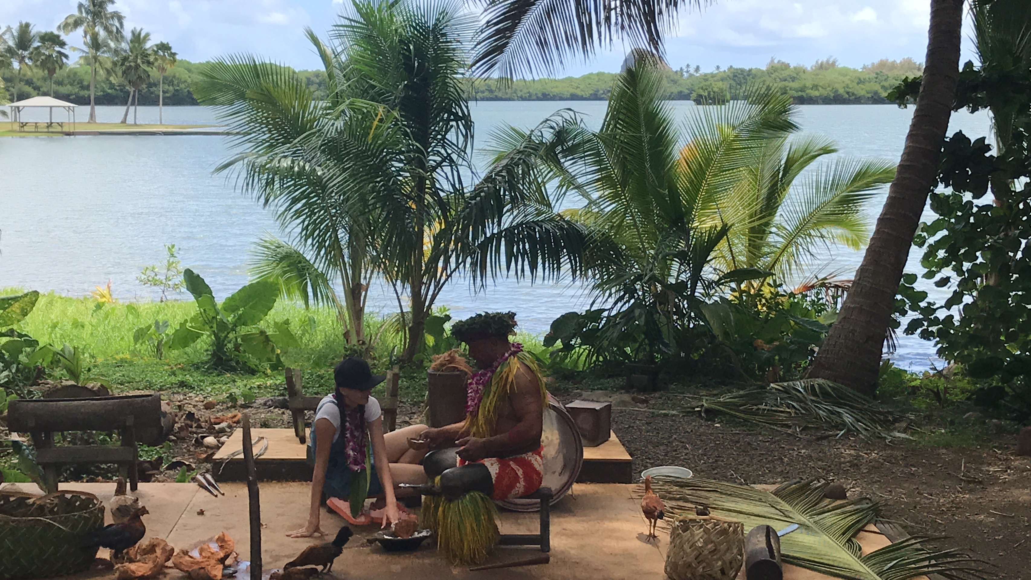 Ali'i Tour Macadamia Nuss Farm