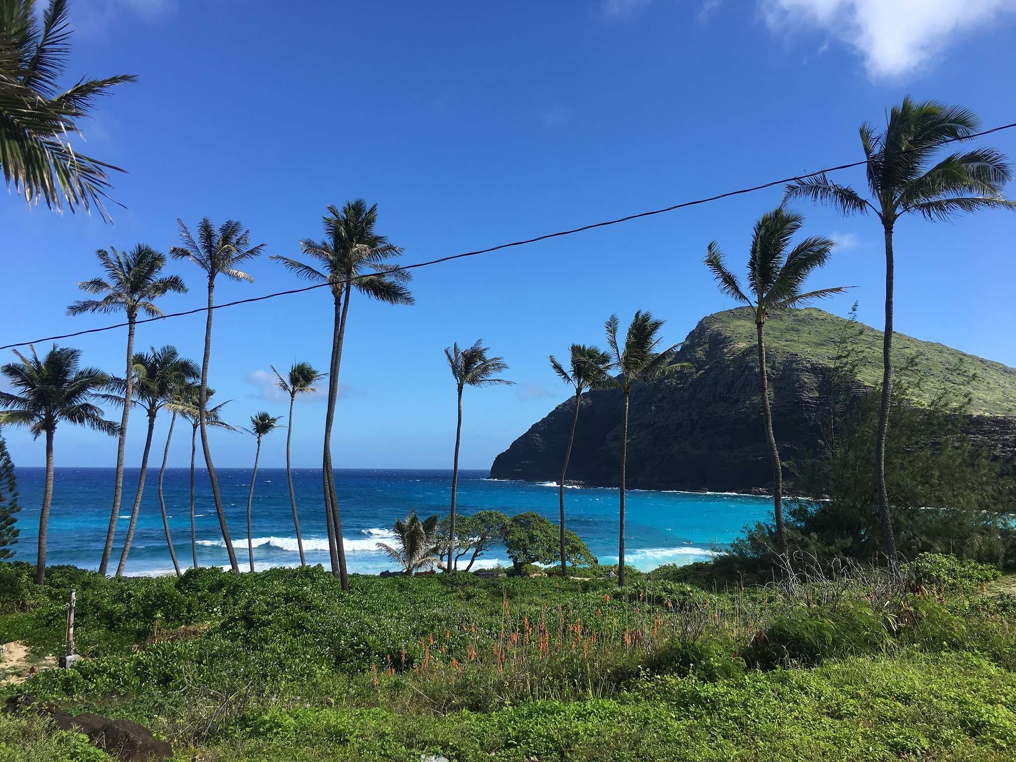 Makapu’u Beach Park