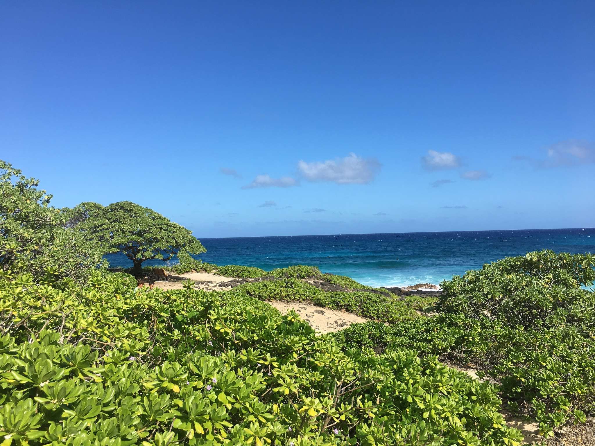 Natur Pur im Makapu'u Beach Park