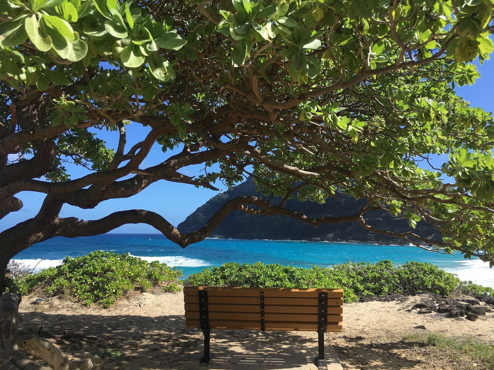 Sitzmöglichkeit im Makapu'u Beach Park