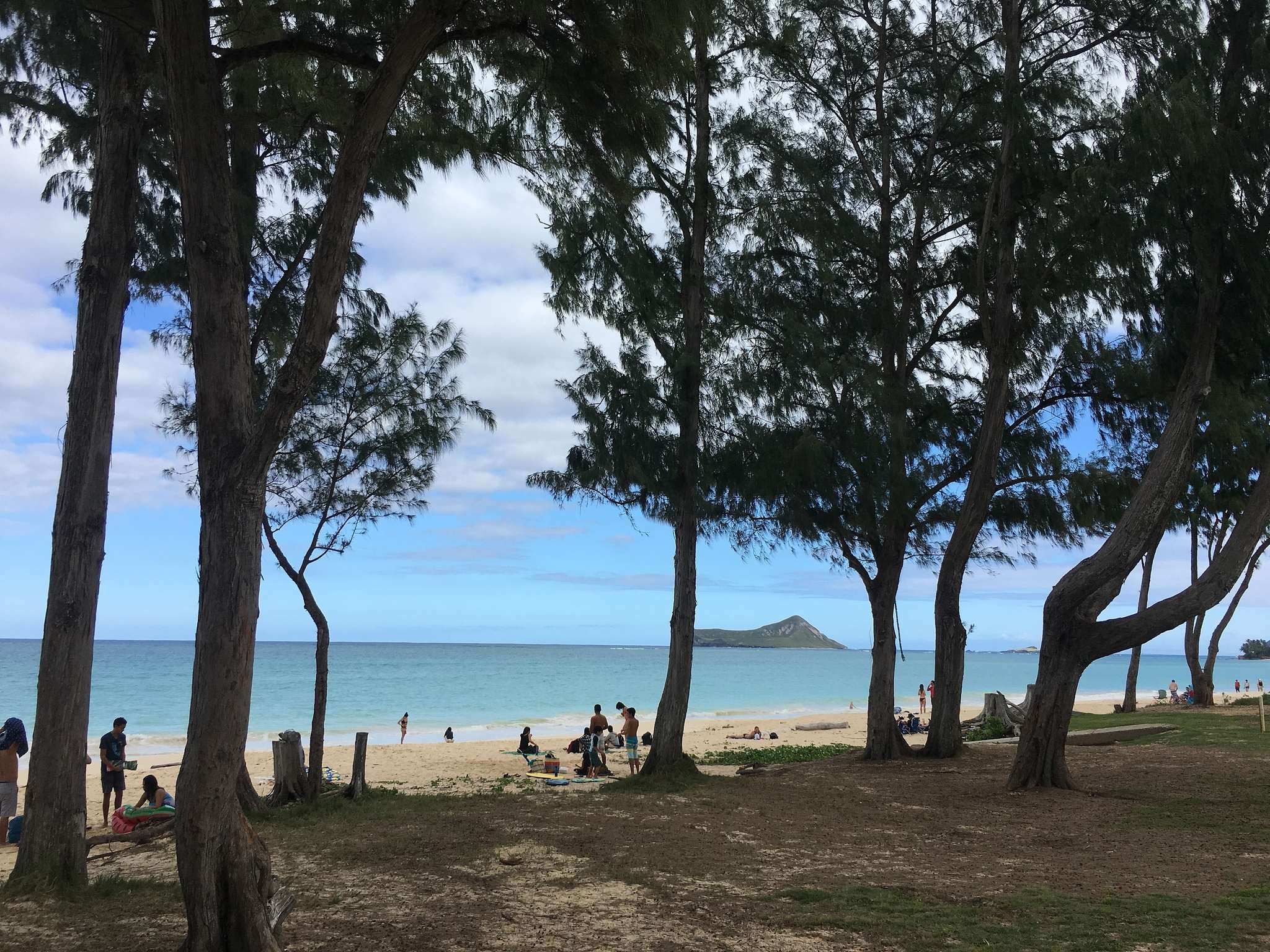 Park am Strand in Hawaii