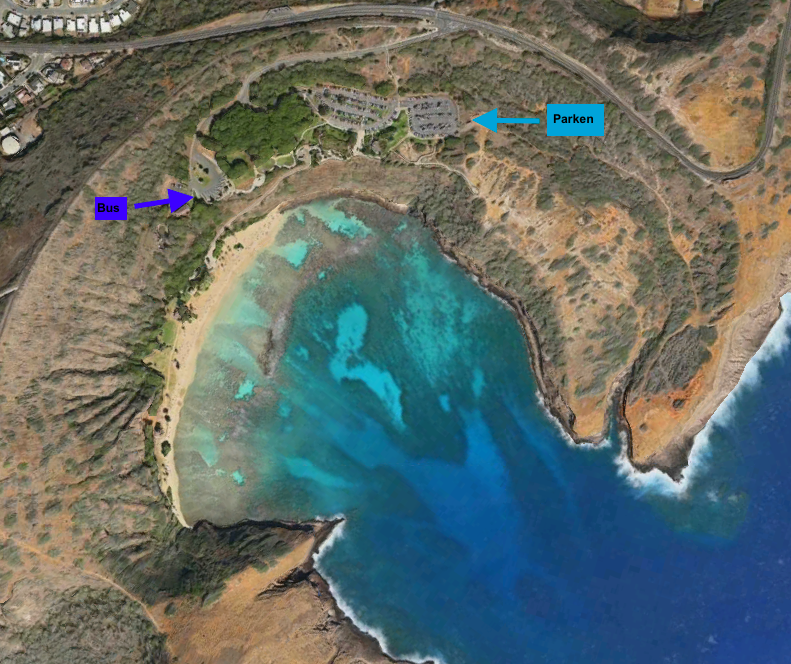 Anreise Hanauma Bay