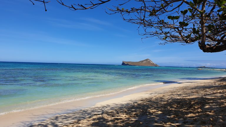 Familienfreundlicher Strand Oahu – Kaiona Beach Park