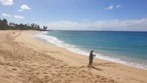 North Shore Strand Oahu