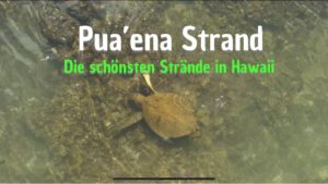 Puaena Strand North Shore