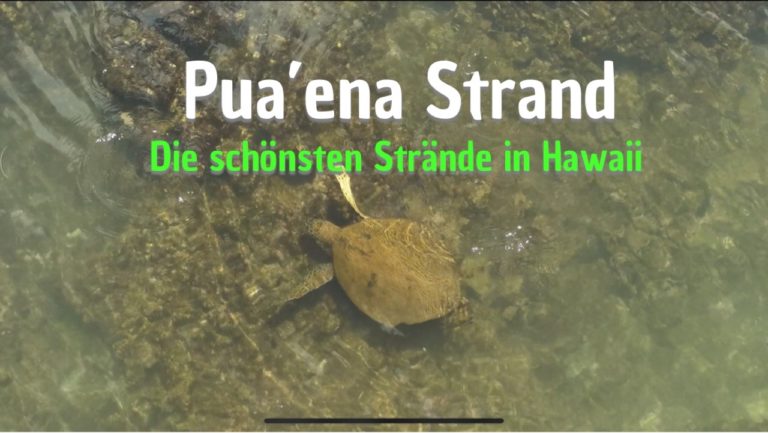 Puaena Strand North Shore