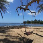 Schaukel mit Meerblick Strand North Shore Oahu Hawaii