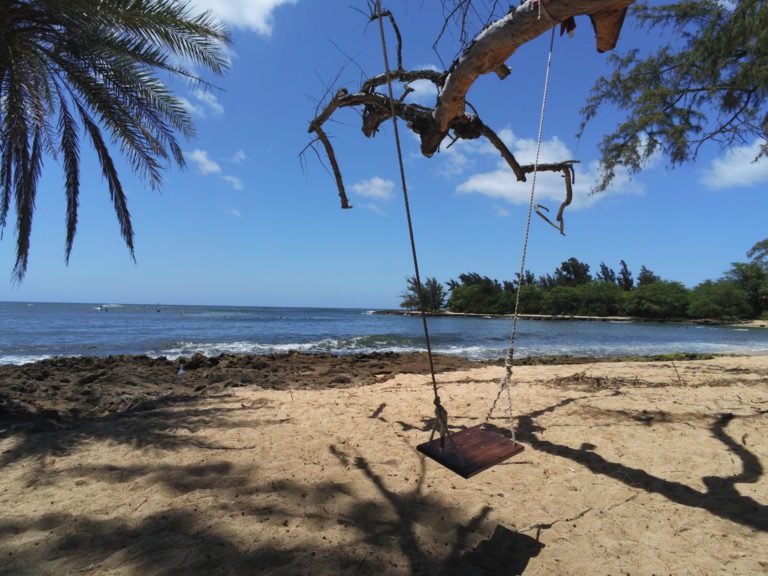 Schaukel mit Meerblick Strand North Shore Oahu Hawaii