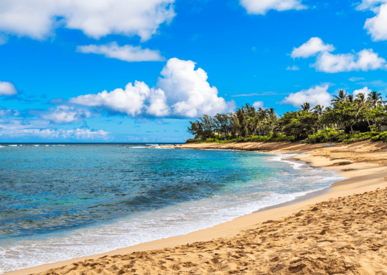 Die schönsten Strände auf Oahu