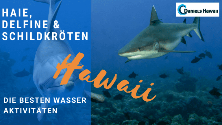 Tauchen in Hawaii