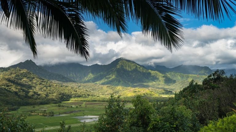 Wie wird das Wetter in Hawaii?