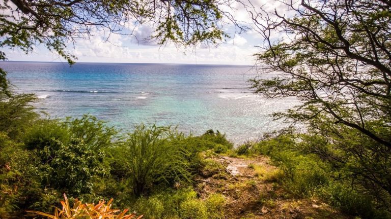 Wissenswertes über Hawaii