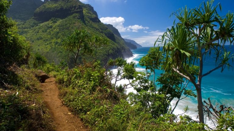 Dein Camping-Urlaub in Hawaii – Teil 2