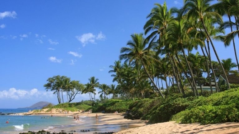 Was nimmst du für deinen perfekten Strandtag mit?