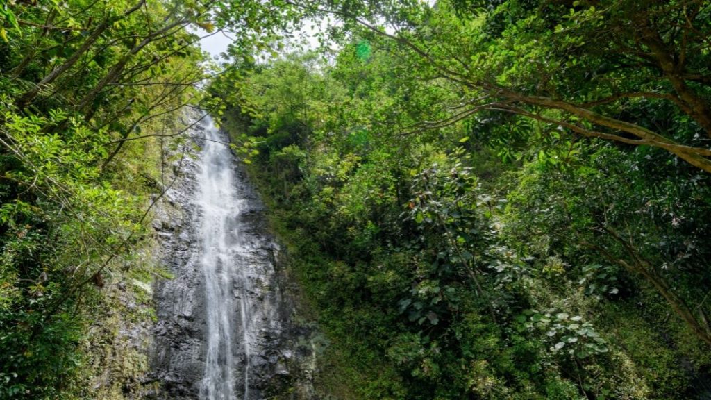 Manoa Wasserfall