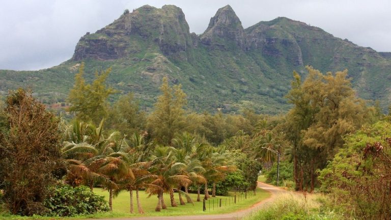 Ist ein Urlaub in Hawaii für alle geeignet?