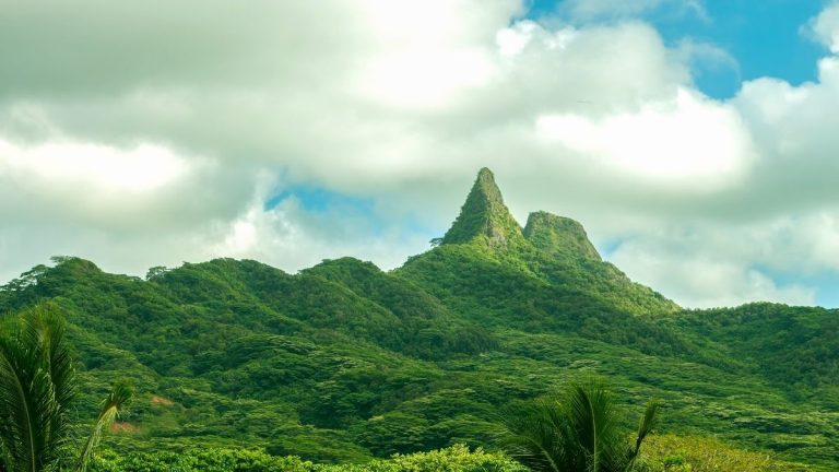 Wanderung auf Oahu – Teil 2