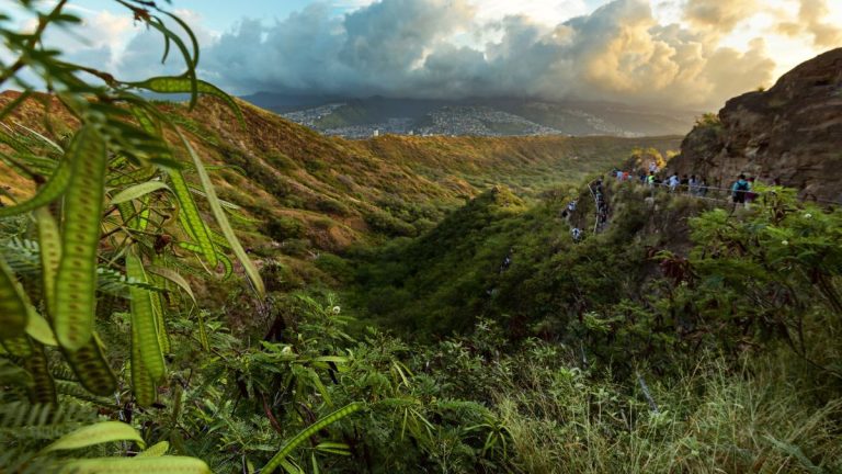 Am Kraterrand des Diamond Head