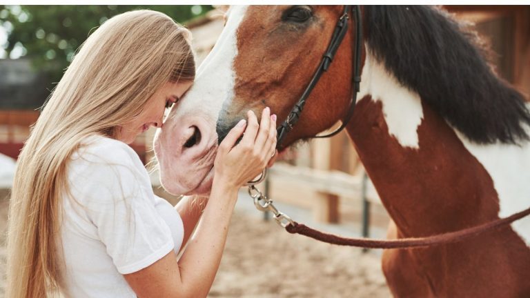 Reiten und Pferde in Hawaii
