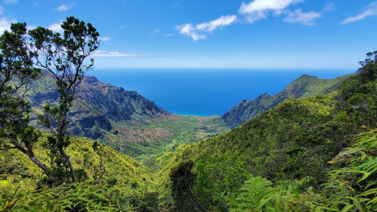 Safari in Hawaii – Wie geht das?