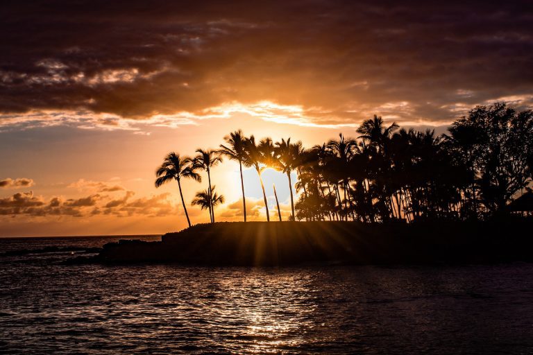 Souvenirs aus Hawaii