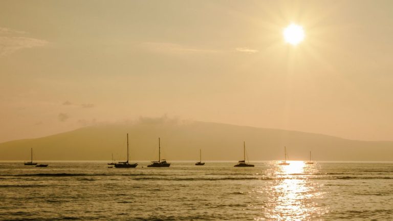 Wie geht es auf Maui weiter?