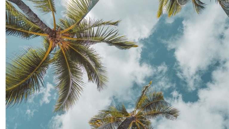 Wie lange sollte der Hawaii-Urlaub dauern?