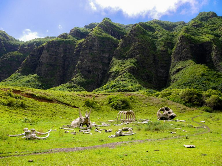 Oahu – Abenteuer, Spaß und Erholung 2024