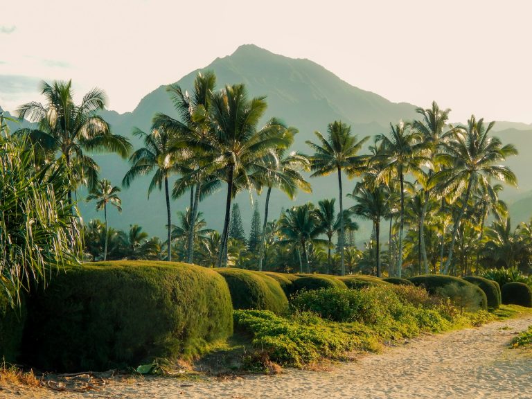 Invasive Tierarten in Hawaii