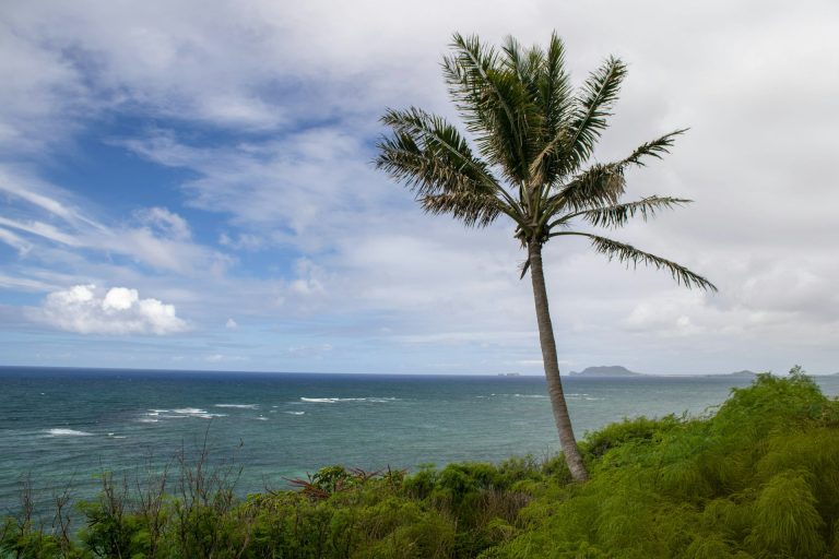 Mit dem Kind nach Oahu?