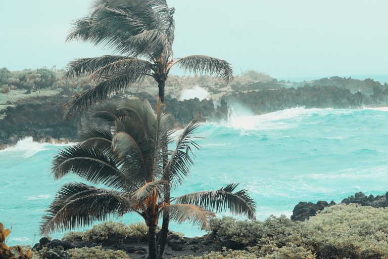 Gibt es in Hawaii Wirbelstürme oder einen Hurrikan?