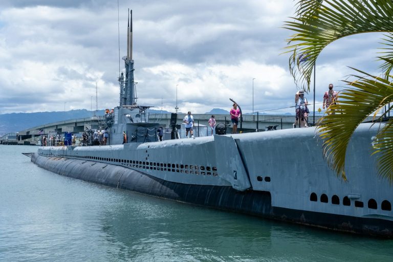 people walking on submarine docked in port