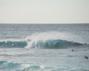 photo of sea wave crashing with people swimming