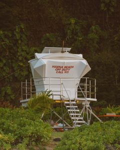 lifeguard tower surrounded by trees at beach