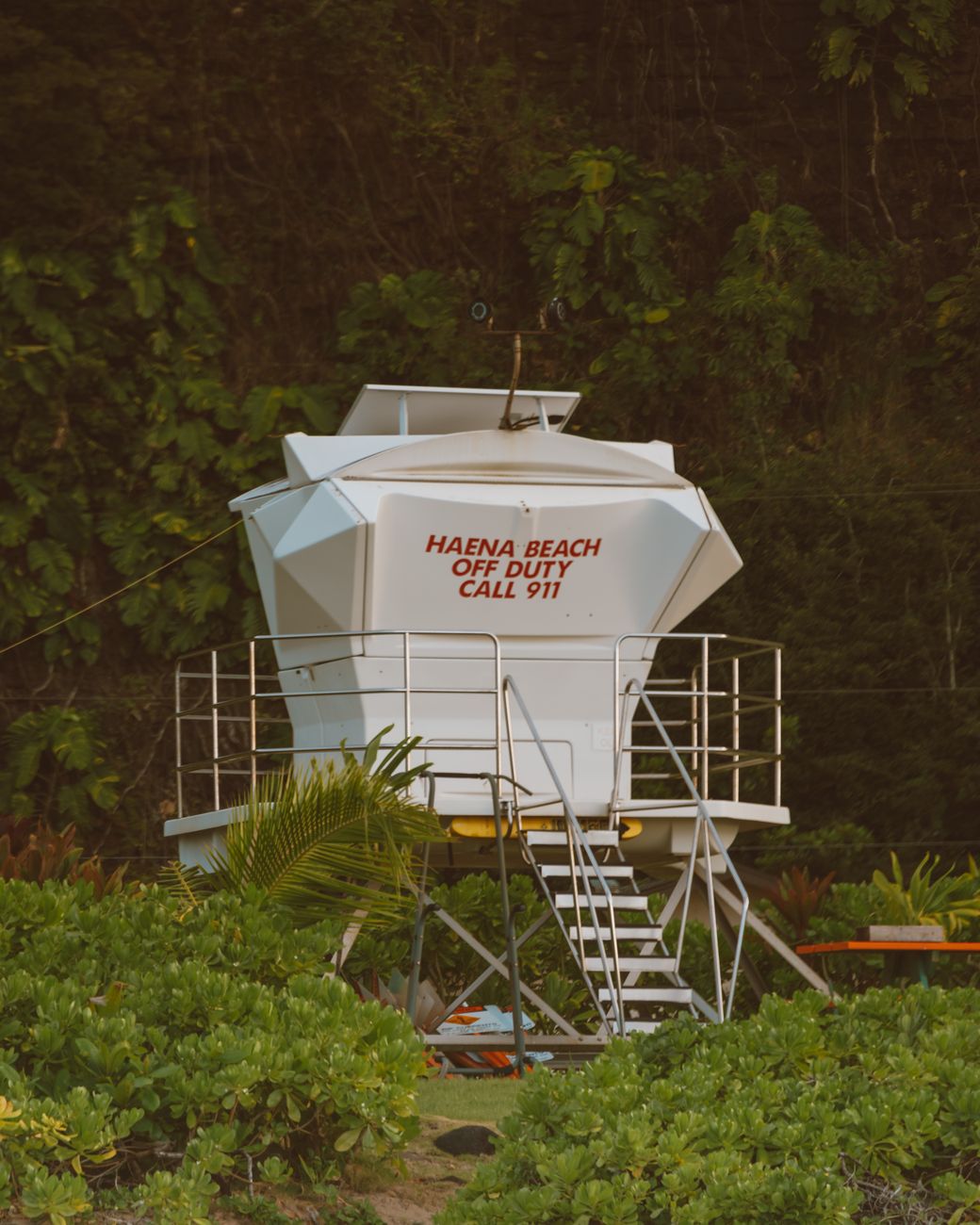 lifeguard tower surrounded by trees at beach